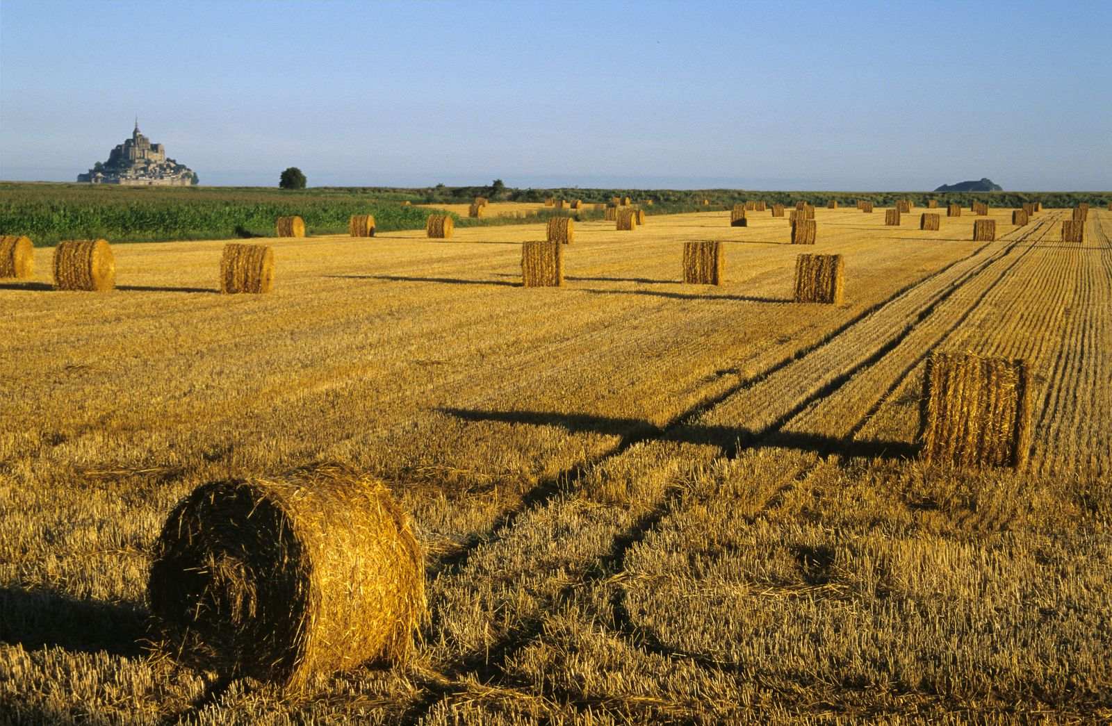 Club libertin en Occitanie